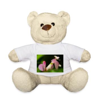 Pink Hymenopus coronatus nymphe - Teddy Bear - white - Front