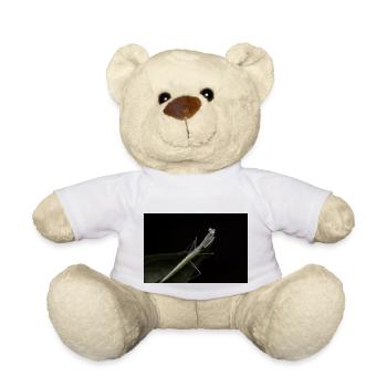 Sinomantis denticulata nymph - glass mantis - Teddy Bear - white - Front