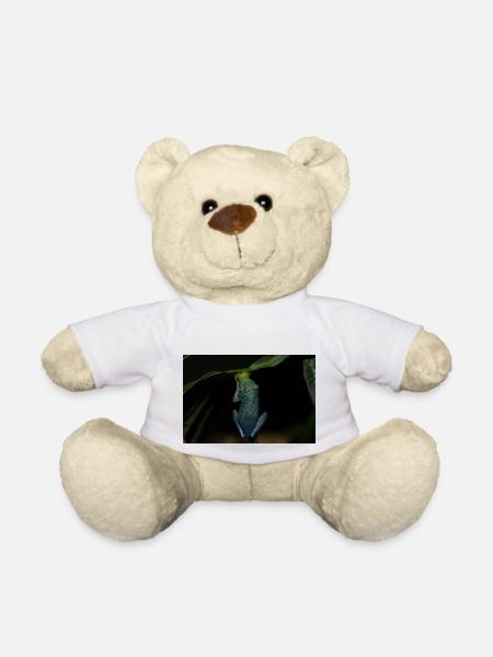 Cochranella granulosa - Glass Frog - Tree Frog - Teddy Bear - white