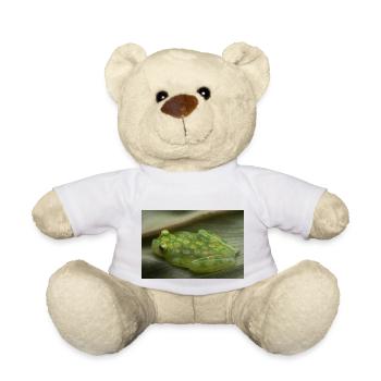 Hyalinobatrachium valerioi - Glass frog - Teddy Bear - white - Front