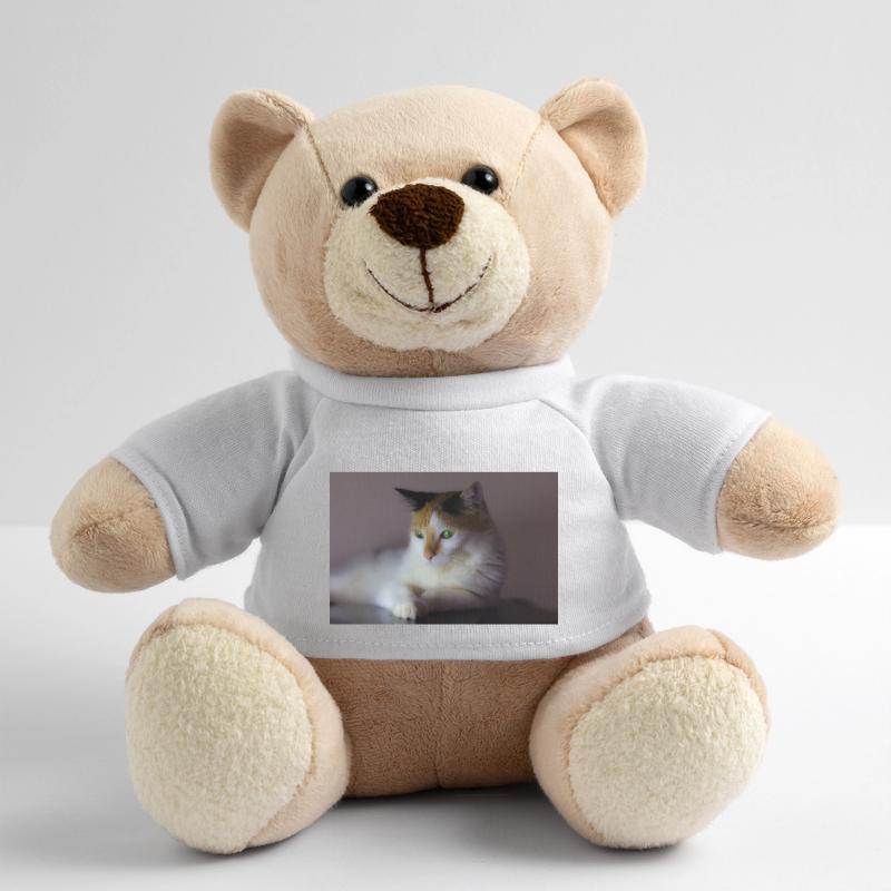 le chat au doux regard Nounours