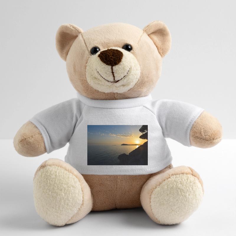 Sunset Teddy Bear