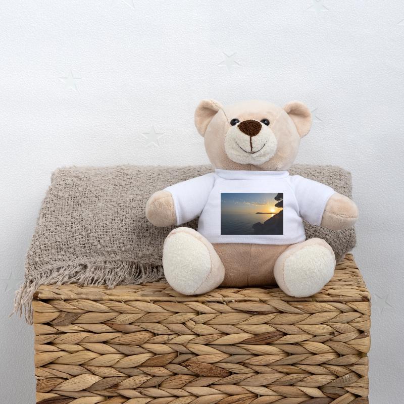 Sunset Teddy Bear