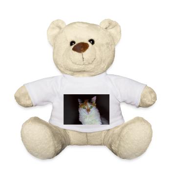 le chat au doux regard - Nounours - blanc - Devant