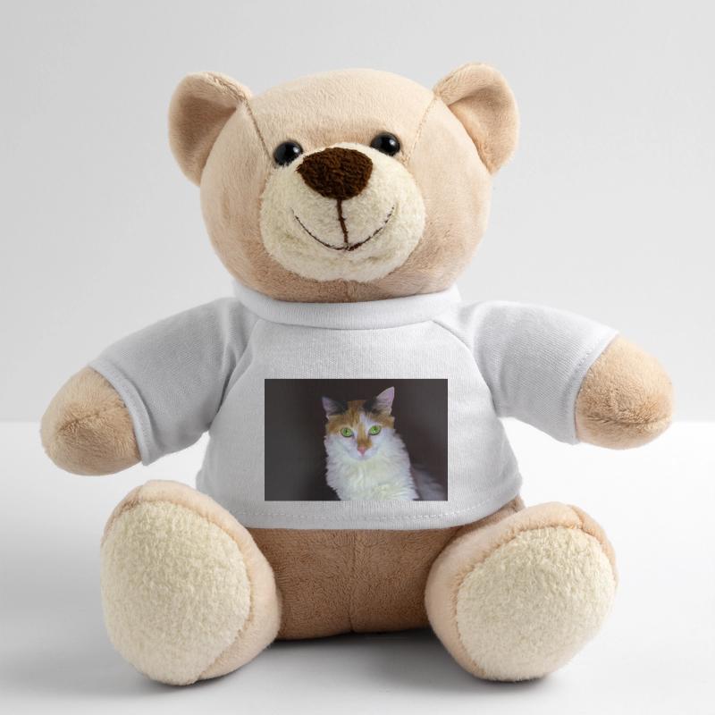 le chat au doux regard Nounours