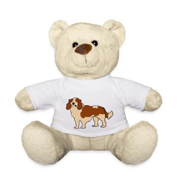 Cavalier King Charles Spaniel - Teddy - Weiß - Vorne