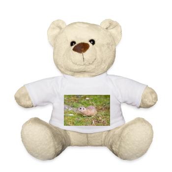 European ground squirrel also souslik Ziesel - Teddy Bear - white - Front