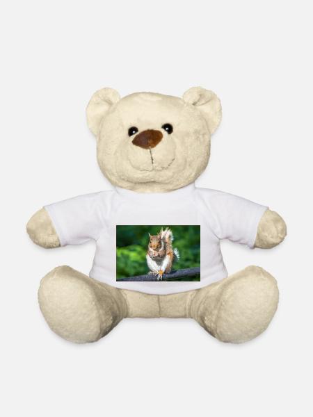 Essen Grauhörnchen Grauhörnchen Sciurus caroline - Teddy - Weiß