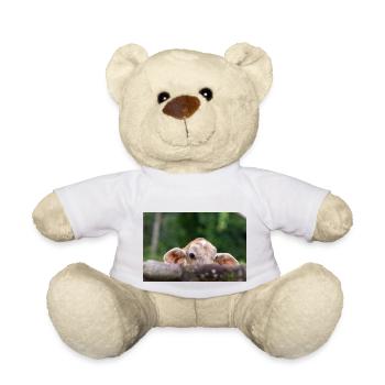 le petit veau derrière la barrière - Nounours - blanc - Devant