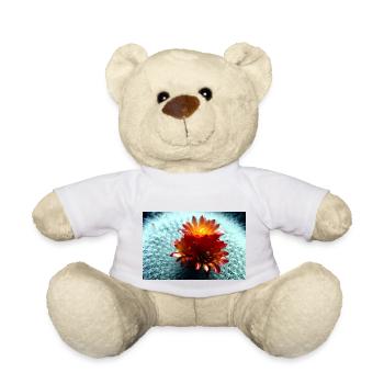 Blühender Kaktus - Teddy - Weiß - Vorne