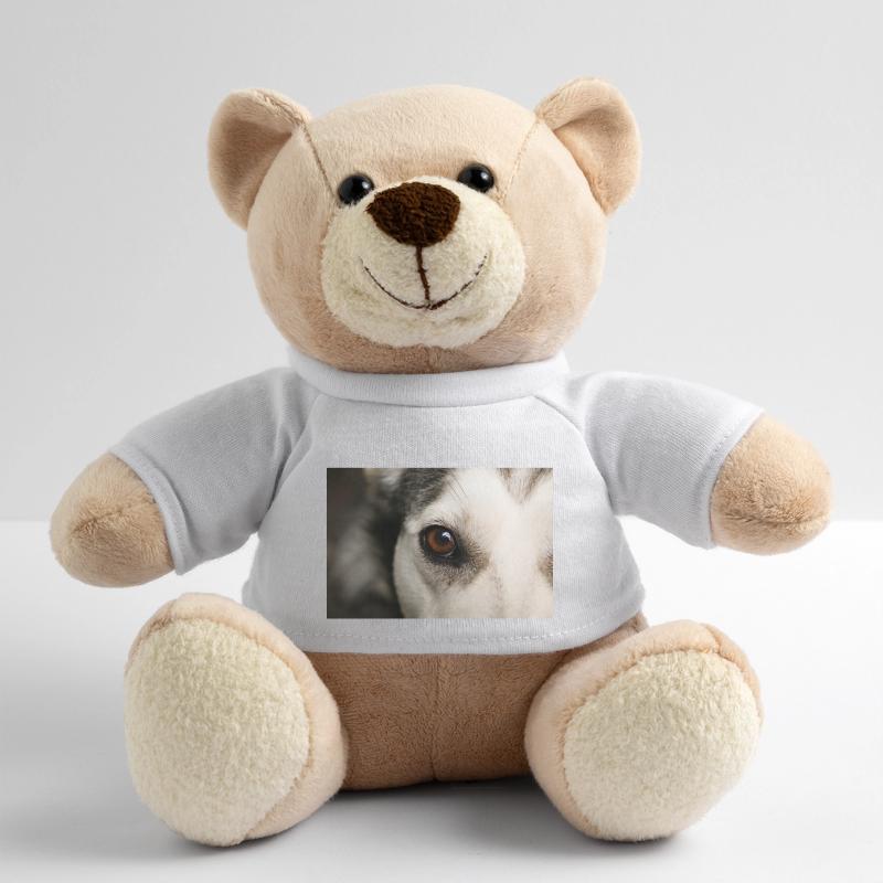 Œil de Husky Nounours