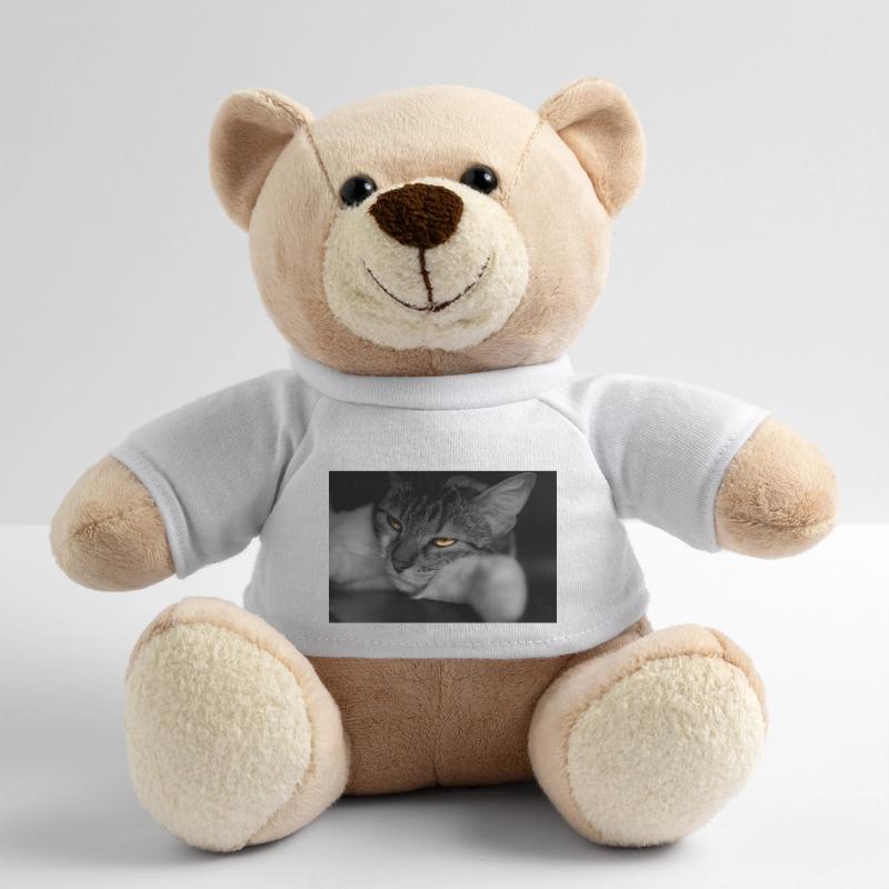 le chat au regard terrible Nounours