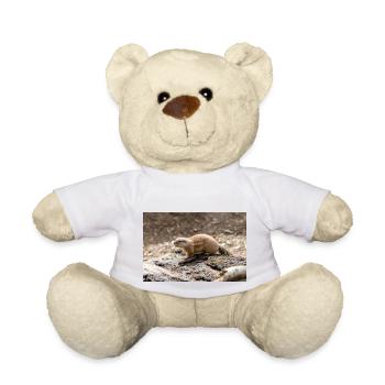 Afrikanisches Ziesel Borstenhörnchen Xerus - Teddy - Weiß - Vorne