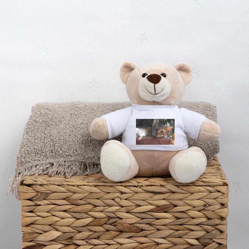 Die Katze Teddy