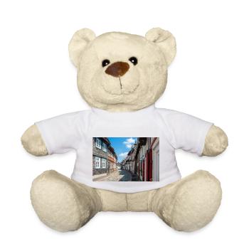 old town of (Altstadt) Goslar Lower Saxony - Teddy Bear - white - Front