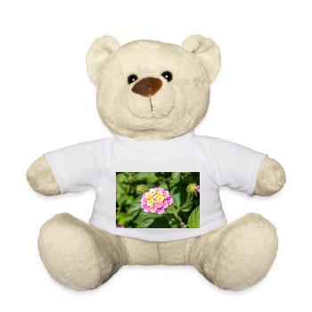 Lantana also Spanish flag Wandelröschen - Teddy Bear - white - Front