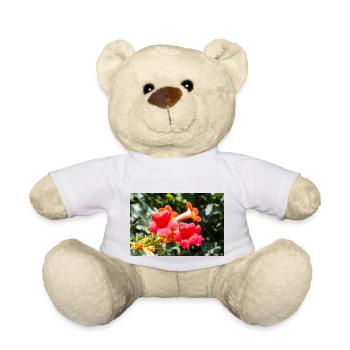 trumpet creeper or trumpet vine Campsis - Teddy Bear - white - Front