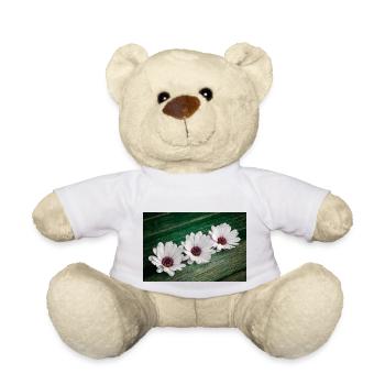 Afrikanische Gaensebluemchen - Teddy - Weiß - Vorne