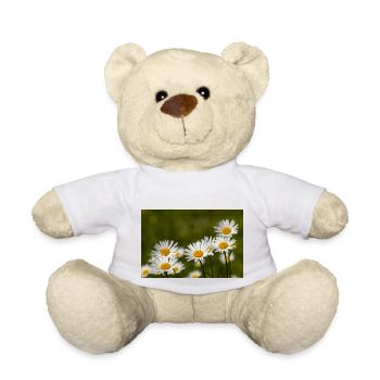 Daisies - Teddy Bear - white - Front