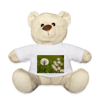 Pissenlit - Nounours - blanc - Devant