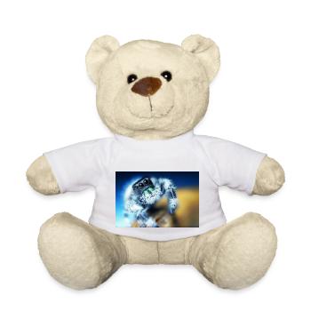 Springspinne, Phidippus regius,jumping spider - Teddy Bear - white - Front