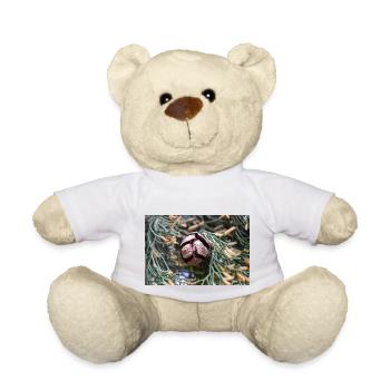 Italian cypress also Mediterranean cypress - Teddy Bear - white - Front