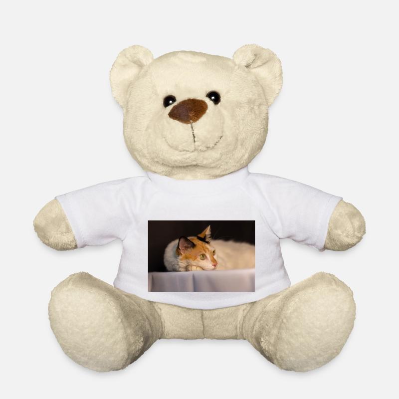 Die Katze - Teddy - Weiß