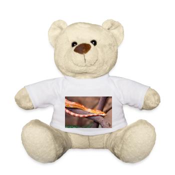 corn snake also red rat snake (Kornnatter) - Teddy Bear - white - Front