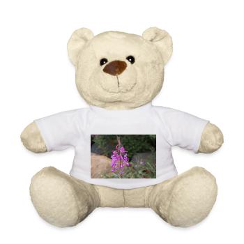 fireweed also willow herb also rosebay willowherb - Teddy Bear - white - Front