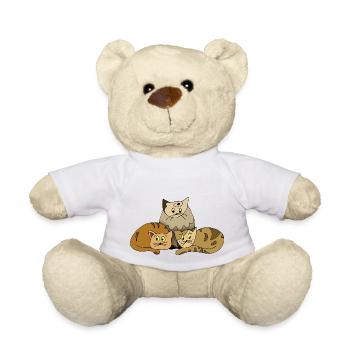 Katzen - Teddy - Weiß - Vorne