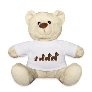 Dog Growth Stages Puppy to Adult Illustration Art - Teddy Bear - white - Front
