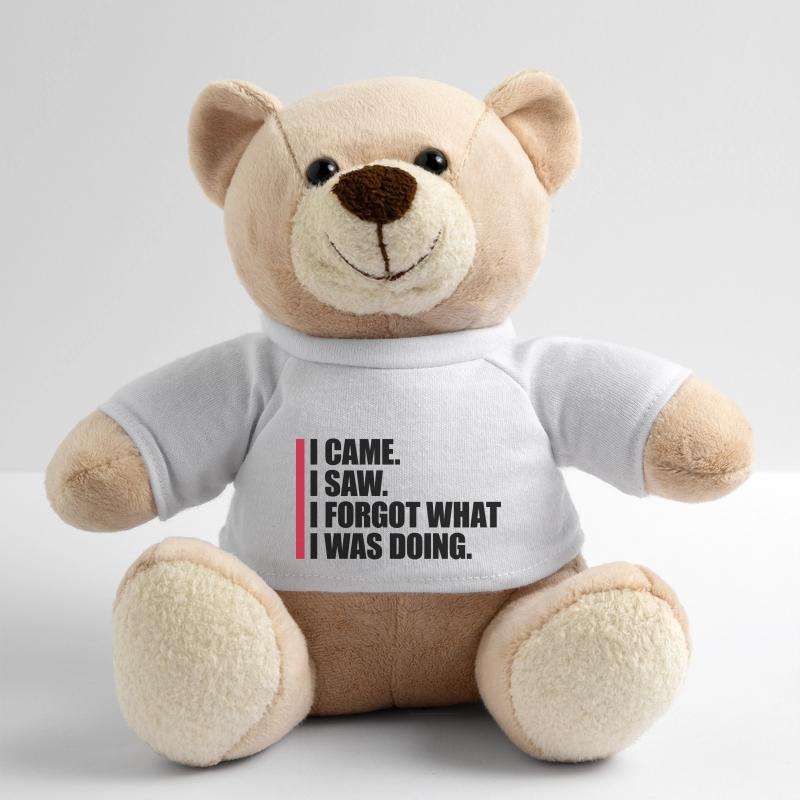 I came saw forget Teddy Bear