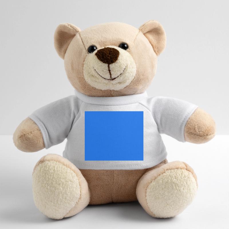 Rectangle Blue Color Teddy Bear
