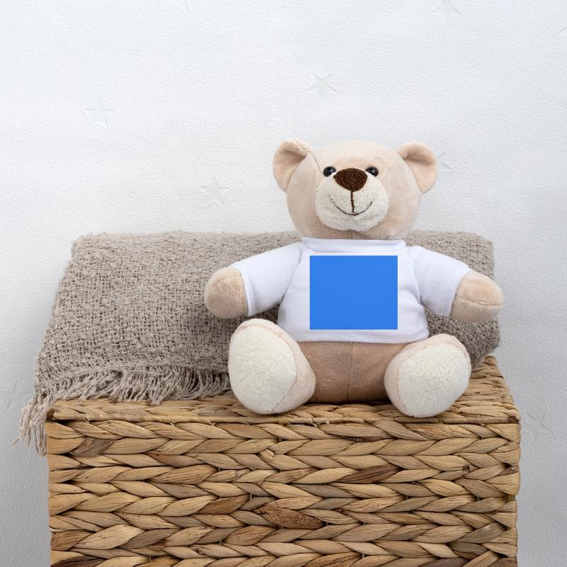Rectangle Blue Color Teddy Bear