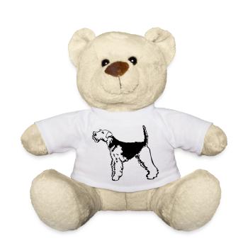 Welsh Terrier - Nounours - blanc - Devant