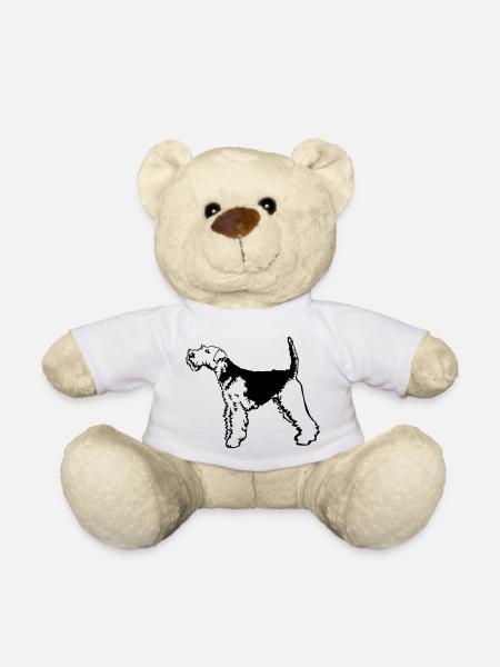 Welsh Terrier - Teddy - Weiß