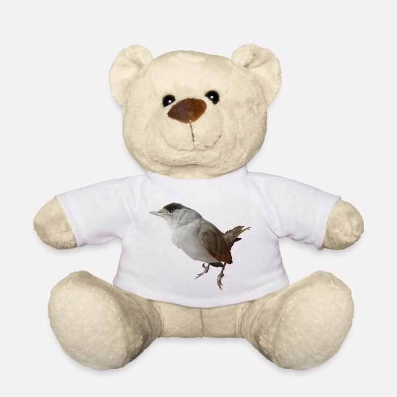 Mönchsgrasmückenmännchen - Teddy - Weiß