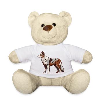 Australian Koolie - Teddy - Weiß - Vorne