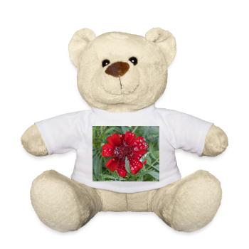 Rote Kleinblattblüte, bedeckt mit Wassertropfen, - Teddy - Weiß - Vorne