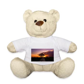 Sonnenuntergang in Venezuela - Teddy - Weiß - Vorne
