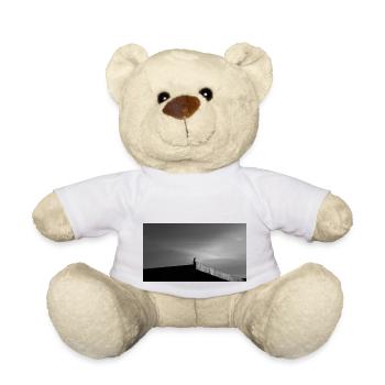 le faucon sur le toit - Nounours - blanc - Devant
