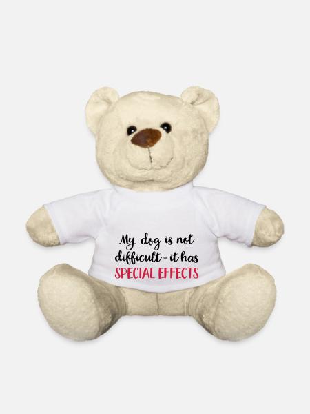 dog - Teddy - Weiß