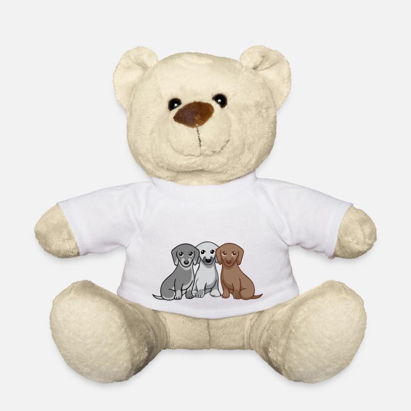Drei Hunde - Teddy - Weiß