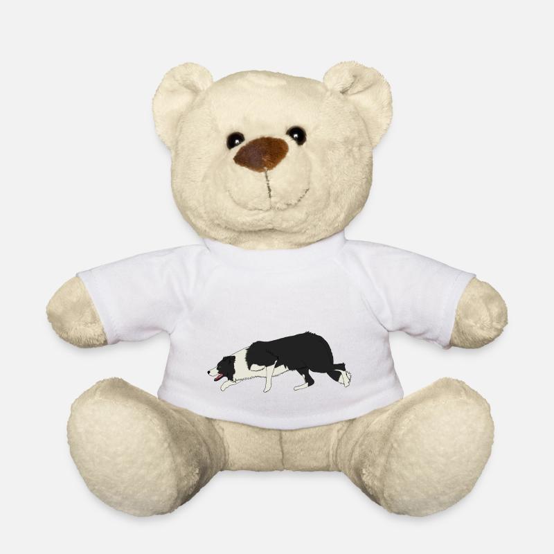 BORDER COLLIE - Nounours - blanc