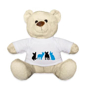 Französische Bulldogge - Teddy - Weiß - Vorne