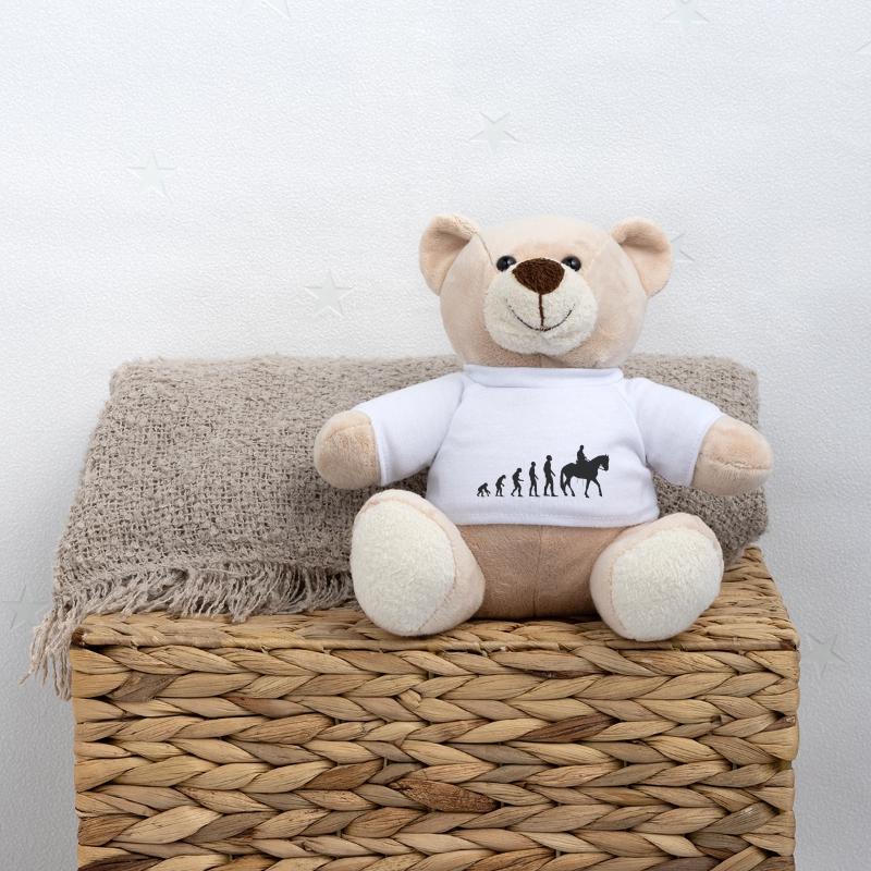 Evolution rider Teddy Bear