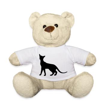 Siam Katze - Teddy - Weiß - Vorne