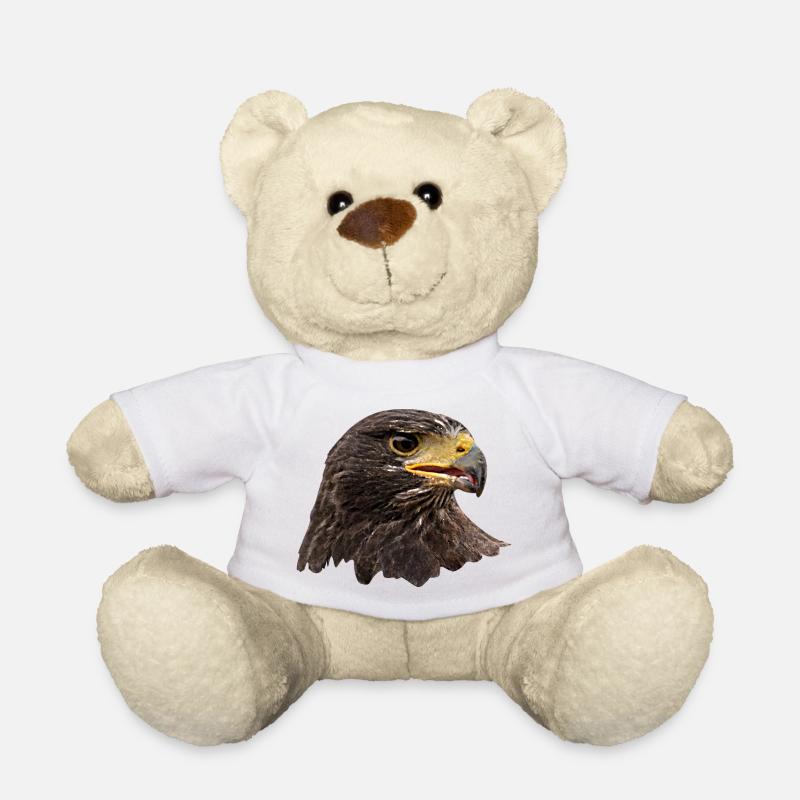 Aigle, faucon, oiseau de proie, brun - Nounours - blanc