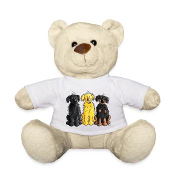 Hovawart - Hovawarte - Hund - Teddy - Weiß - Vorne