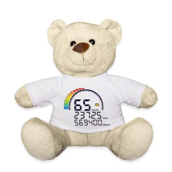 65 Years Zähler Geburtstag days hours schnell - Teddy - Weiß - Vorne